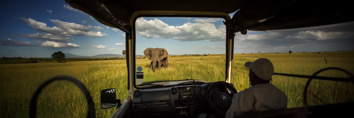 package hotel listing