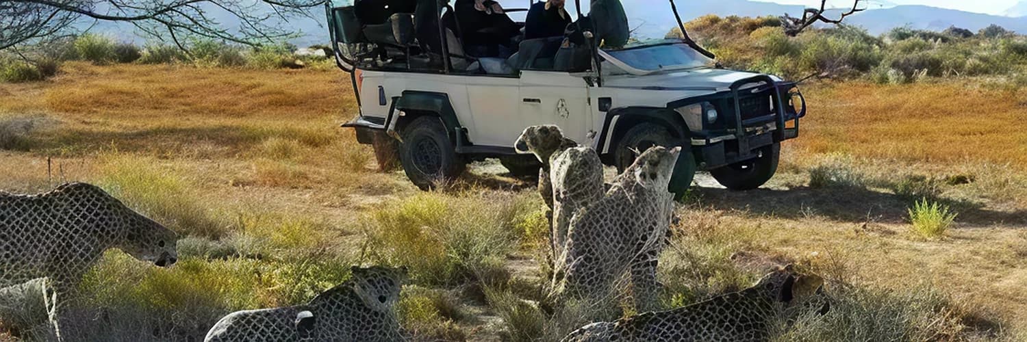 images (2) 2 (2).webp