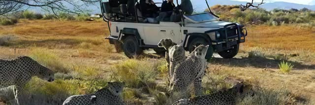 package hotel listing