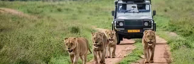 package hotel listing