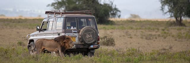 package hotel listing