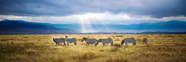 package hotel listing