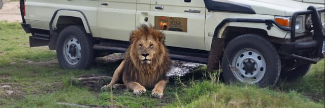 package hotel listing