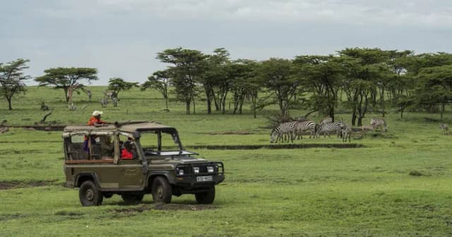 package hotel listing