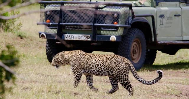 package hotel listing