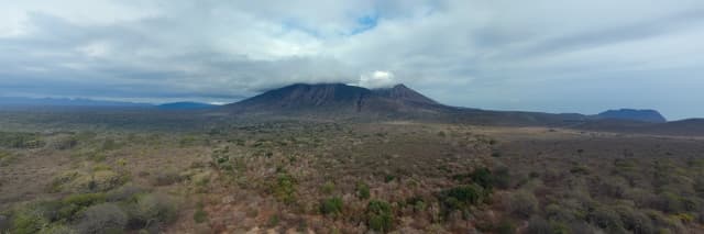 package hotel listing