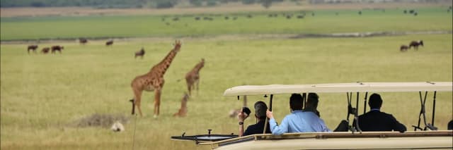 package hotel listing