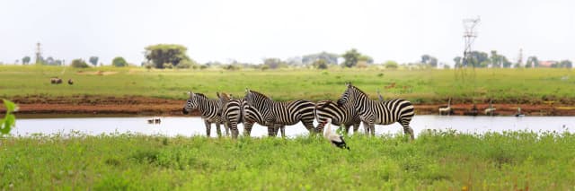 package hotel listing