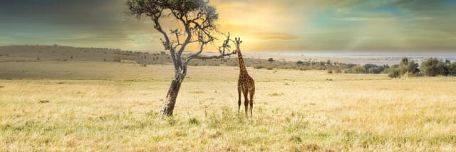 package hotel listing