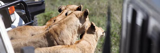 package hotel listing