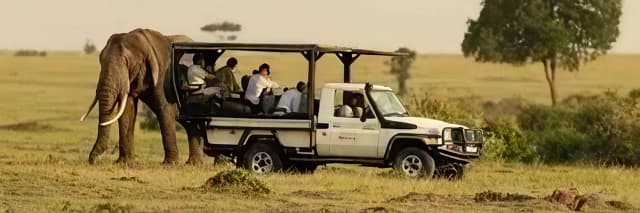 package hotel listing