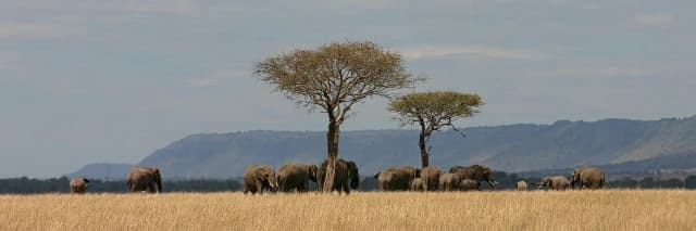 package hotel listing