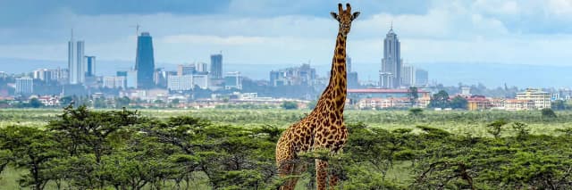 package hotel listing