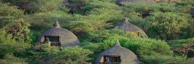 package hotel listing