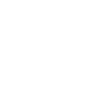 Terms and Conditions
